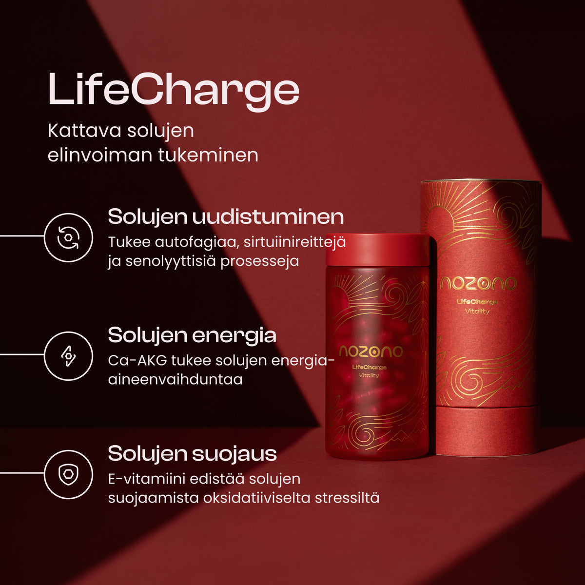 LifeCharge