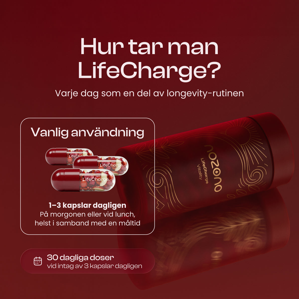 LifeCharge