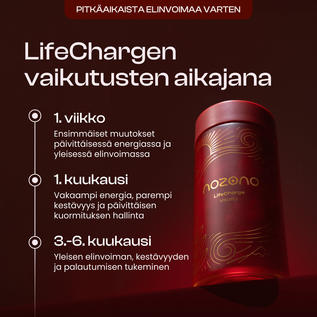 LifeCharge