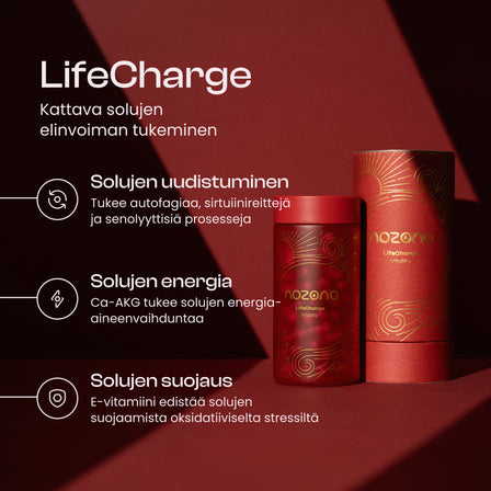 LifeCharge