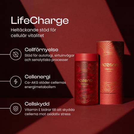 LifeCharge