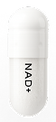 NAD+ Prime